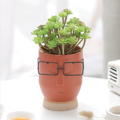 Ceramic Creative Face Bonsai Plant Pot