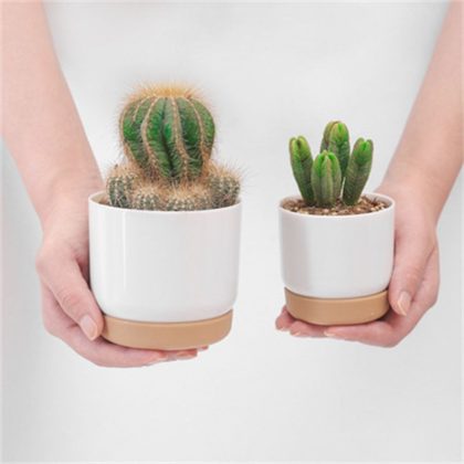 2PCS/Set Indoor Garden Cactus Pot With Drainage Hole