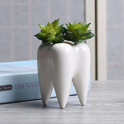 White Ceramic Tooth Shape Plant Pot
